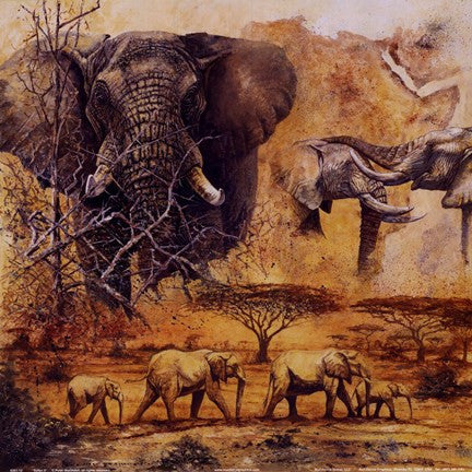 Safari II