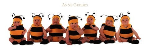 Bumblebee Babies