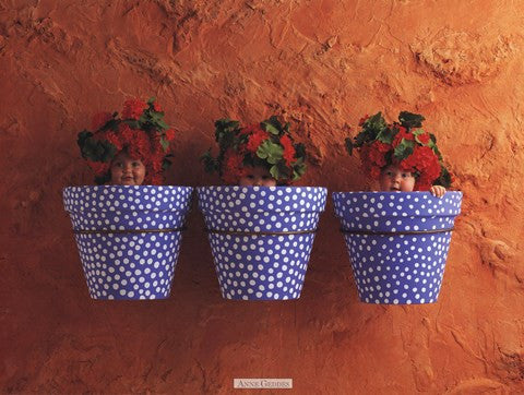 Mediterranean Pots