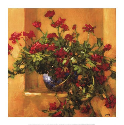 Ivy Geraniums