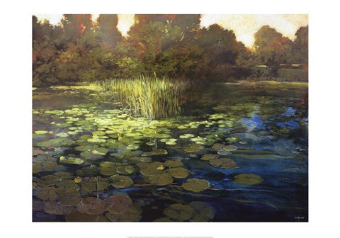 Waterlilies