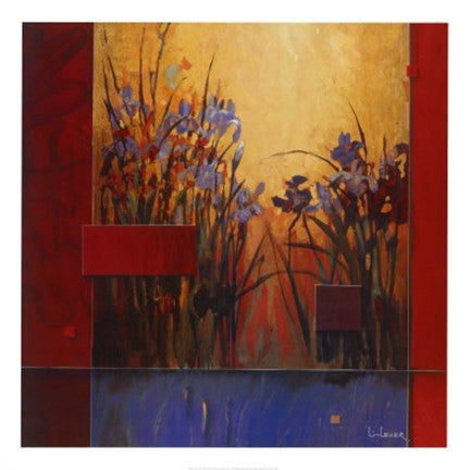 Iris Sunrise