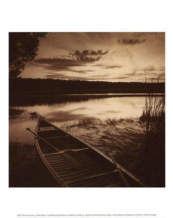 Dawn's Promise