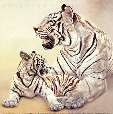 Tigres Blancs, Mere Et Fille