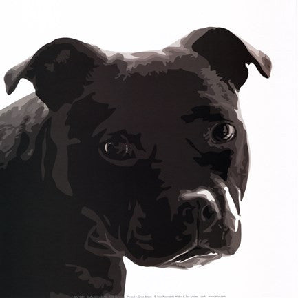 Staffordshire Bull