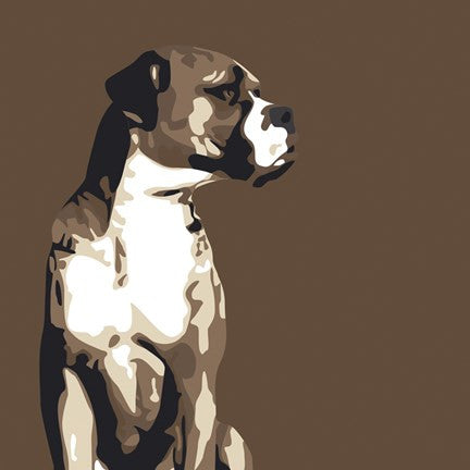 Boxer