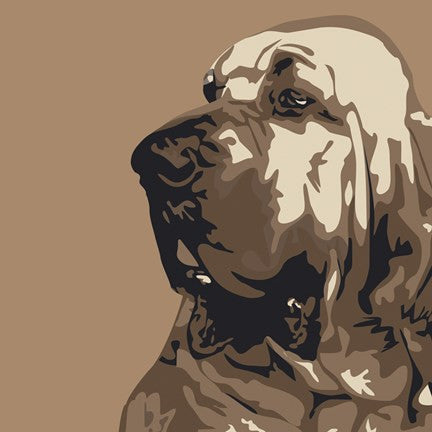 Bloodhound