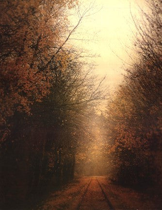Road Of Mysteries I