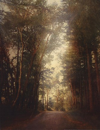 Road Of Mysteries II