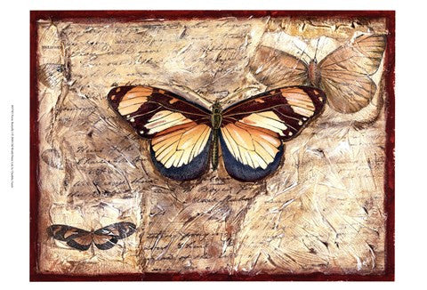 Poetic Butterfly I