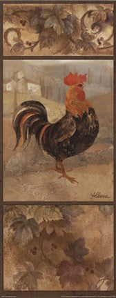 Black Rooster