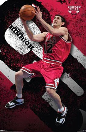 Bulls - Hinrich