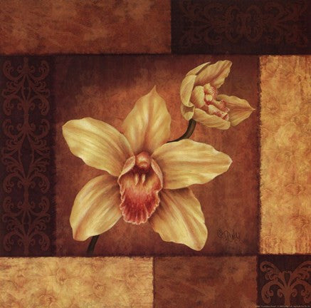 Cymbidium Orchid