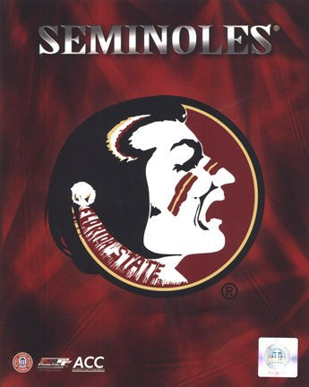 2008 Florida State University Team Logo