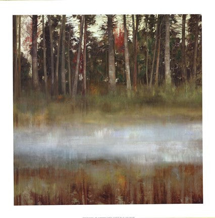 Forest Mist