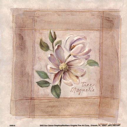 Tree Magnolia