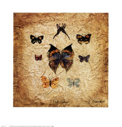 Papillons I