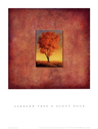 Ashburn Tree