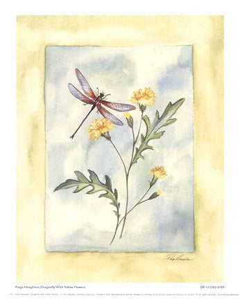 Dragonfly With Yellow Flowers