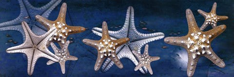 Starfish