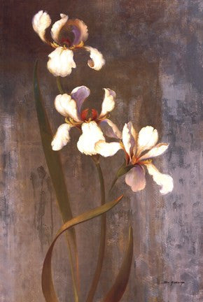 Iris Rhythms
