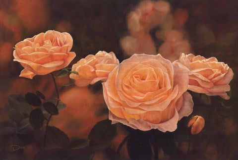 Mandarin Heirloom Roses