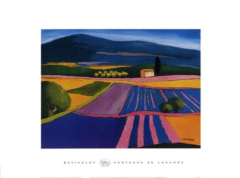Parterre De Lavande