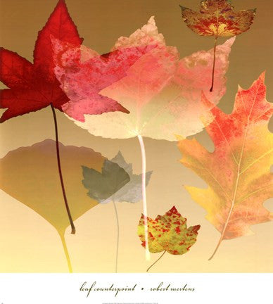 Leaf Counterpoint