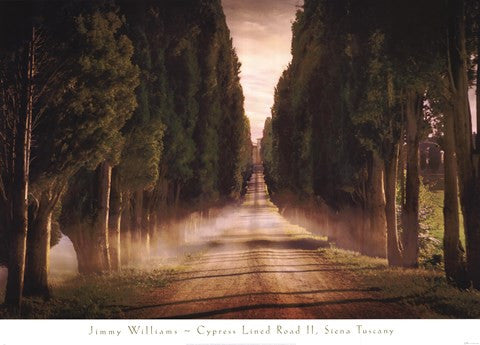 Cypress Lined Road II, Siena Tuscany
