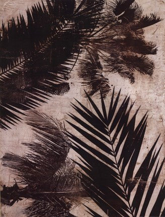 Palms II