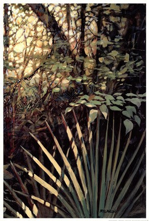 My Jungle II