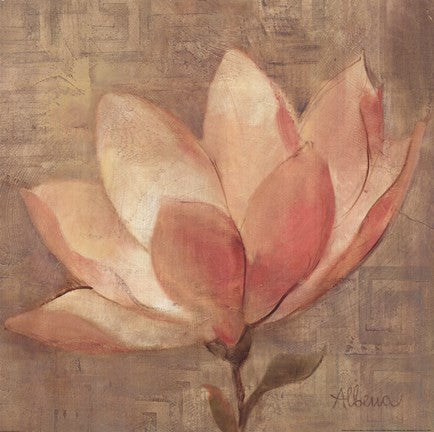 Sweet Magnolia