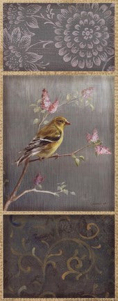 Female Goldfinch