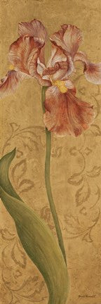 Iris Elegance I