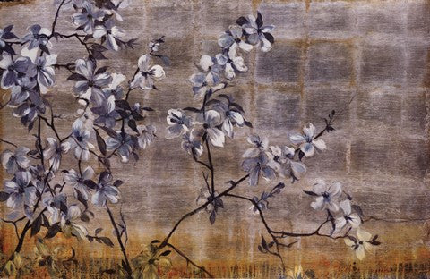 Silver Dogwood
