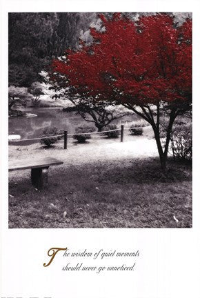 Quiet Moments