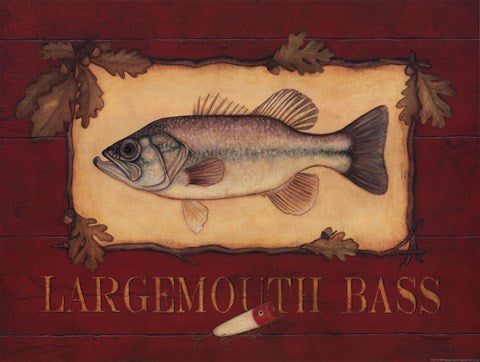 Bass