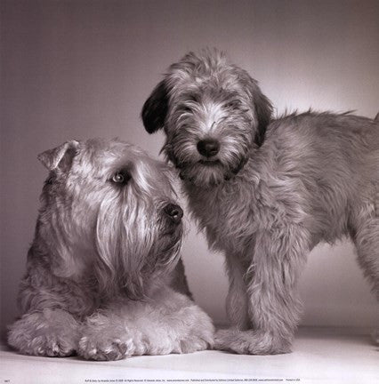 Ruff & Daisy