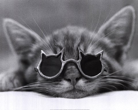 Cool Cat I
