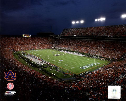 Jordan Hare Stadium Auburn Univeristy Tigers 2008