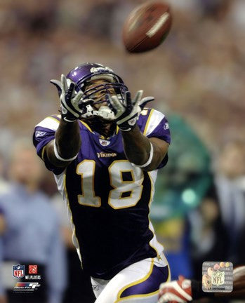 Sidney Rice 2009 Action