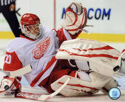 Chris Osgood 2009-10 Action