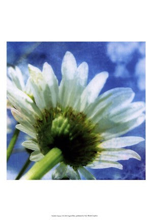 Daisies I