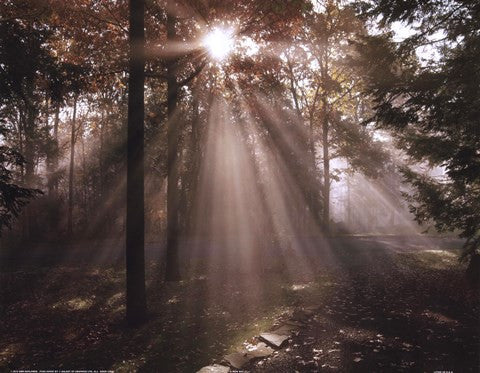 A New Day I