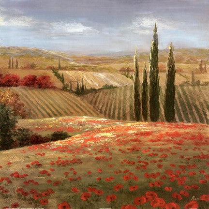 Tuscan Cypress II