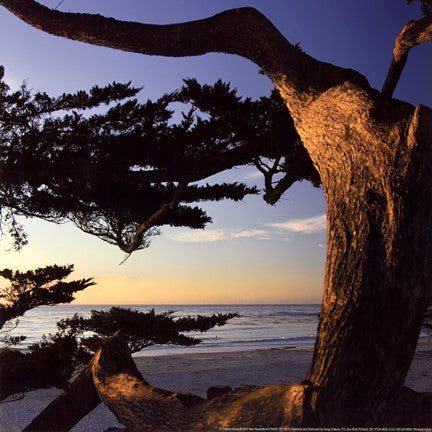 Carmel Sunset II