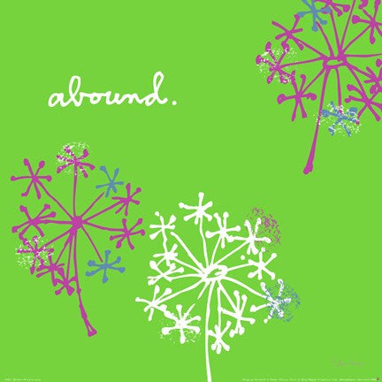 Queen Annes Lace