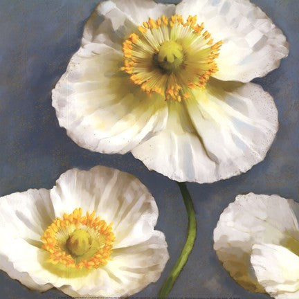 Poppy Parfait II