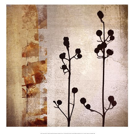 Sombras de Oro I