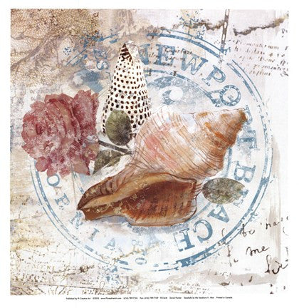 Seashells By The Seashore II